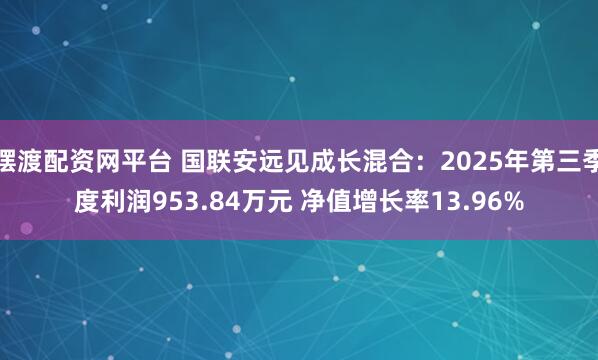 摆渡配资网平台 国联安远见成长混合：2025年第三季度利润953.84万元 净值增长率13.96%