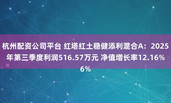 杭州配资公司平台 红塔红土稳健添利混合A：2025年第三季度利润516.57万元 净值增长率12.16%