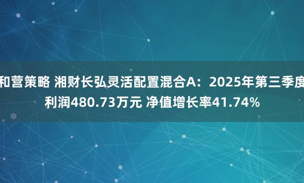和营策略 湘财长弘灵活配置混合A：2025年第三季度利润480.73万元 净值增长率41.74%