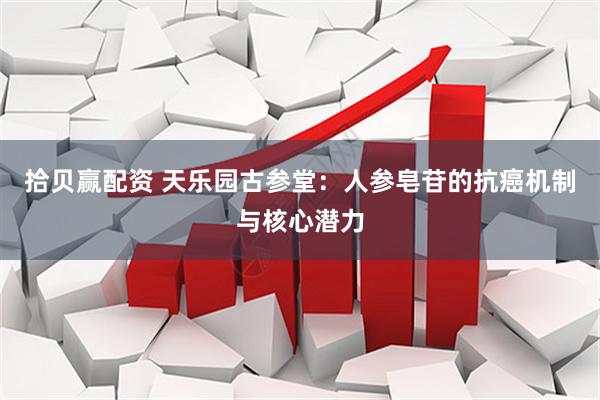 拾贝赢配资 天乐园古参堂：人参皂苷的抗癌机制与核心潜力