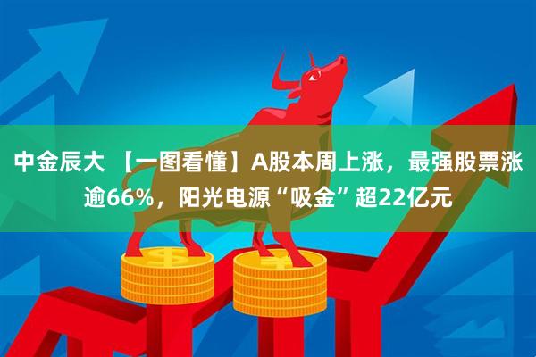 中金辰大 【一图看懂】A股本周上涨，最强股票涨逾66%，阳光电源“吸金”超22亿元